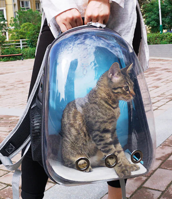 Cat Pet Carrier Bag