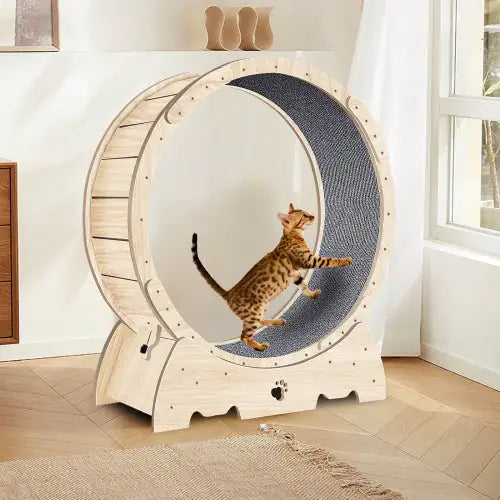 Cat Indoor Cat Exercise Wheel