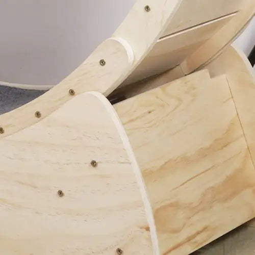 Cat Indoor Cat Exercise Wheel