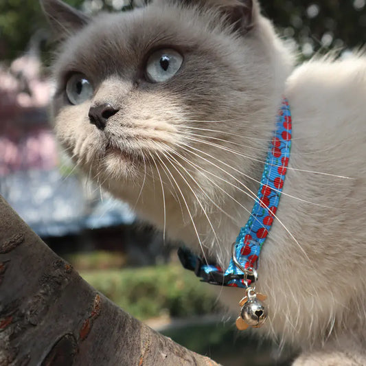 Arminger's New Fruit Cat Collar with Webbing Design